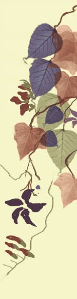 Agnès Saint Pierre - feuilles et fleurs - raisin - papier peint - tissu - marque-page